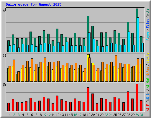 Daily usage for August 2025