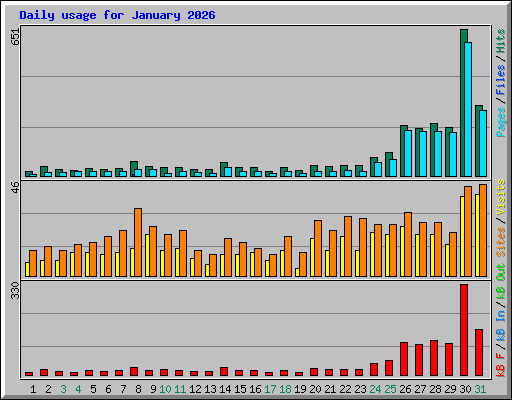 Daily usage for January 2026