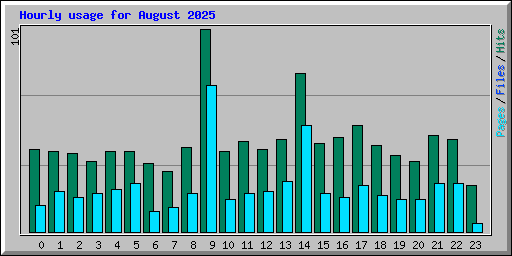 Hourly usage for August 2025