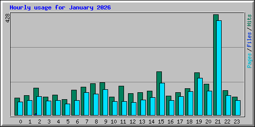 Hourly usage for January 2026