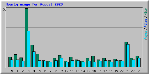 Hourly usage for August 2026